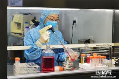 河北 '去'出發(fā)展新空間 '轉(zhuǎn)'來發(fā)展新動能——生物技術(shù)開發(fā)引領(lǐng)新時代高質(zhì)量發(fā)展